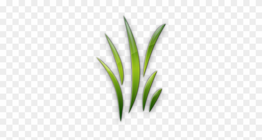 Blades - Blades Of Grass Clipart #450377