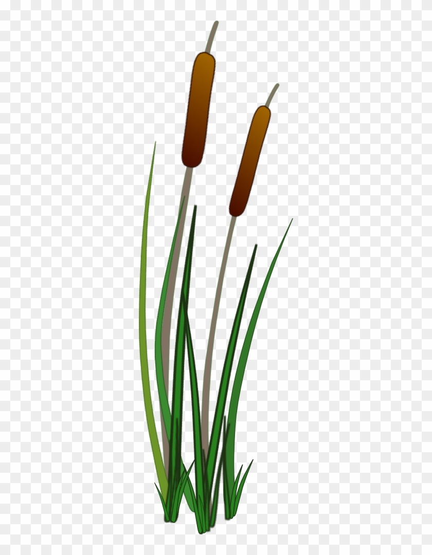 View Larger Image - Bulrush Png #450378