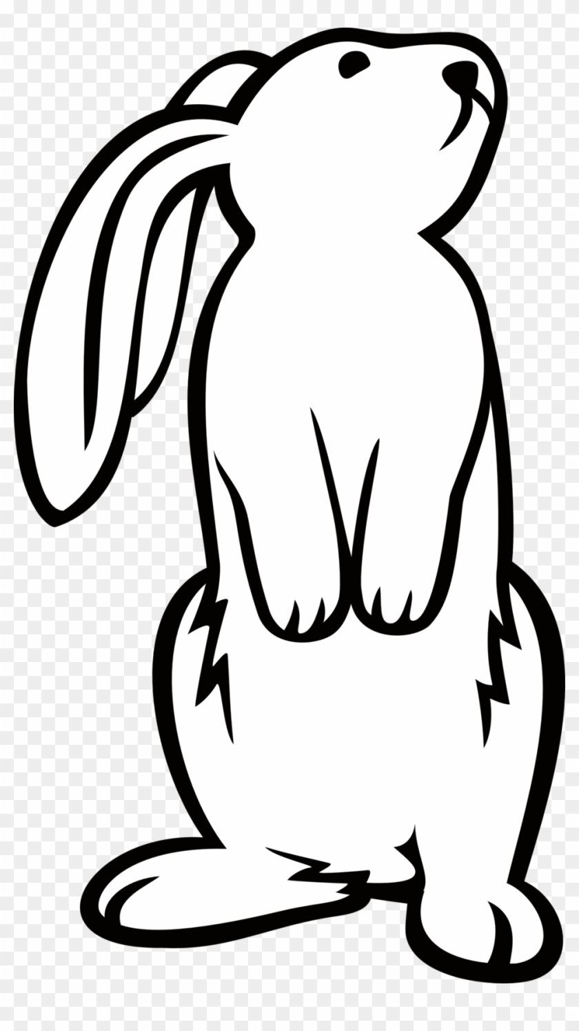 Standing Rabbit Clipart - Bunny Standing Up Drawing #450766
