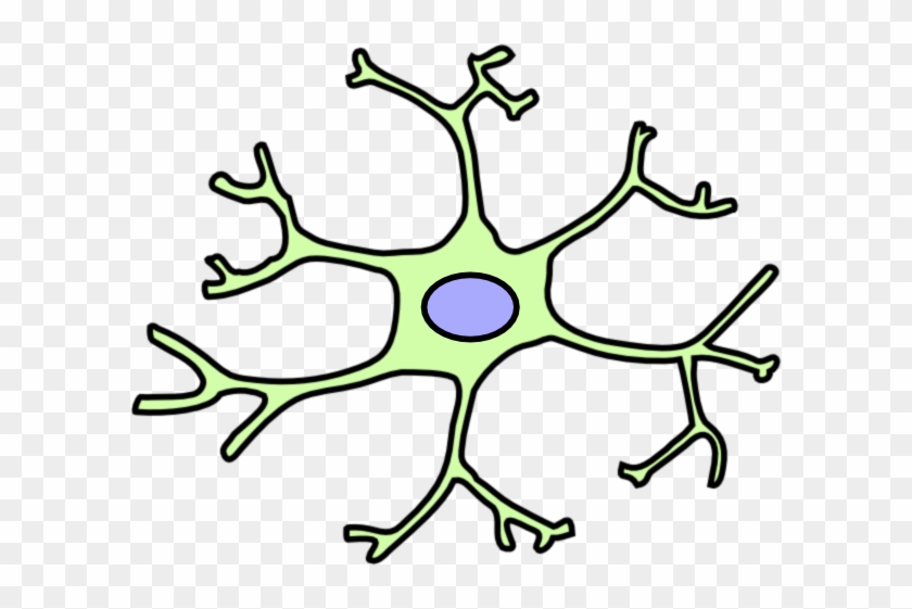 Astrocytes Cartoon #450934