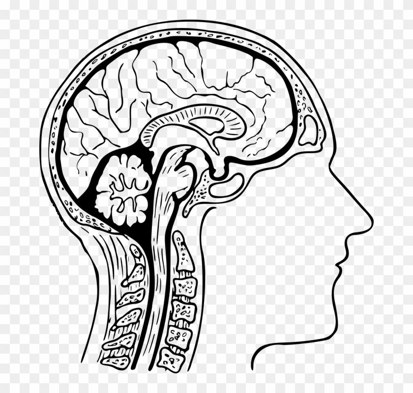 Brain Clipart Black And White 6 - Brain Clipart Black And White 6 #451089