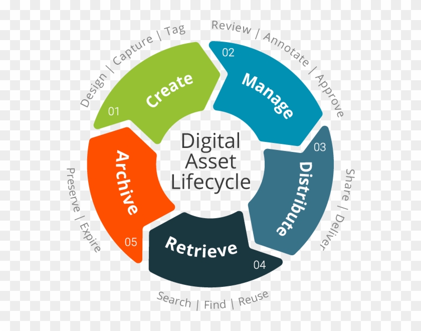 Digital Asset Management System #451097