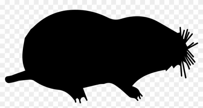 Mole Mammal Animal Shape Svg Png Icon Free Download - Icon #451510
