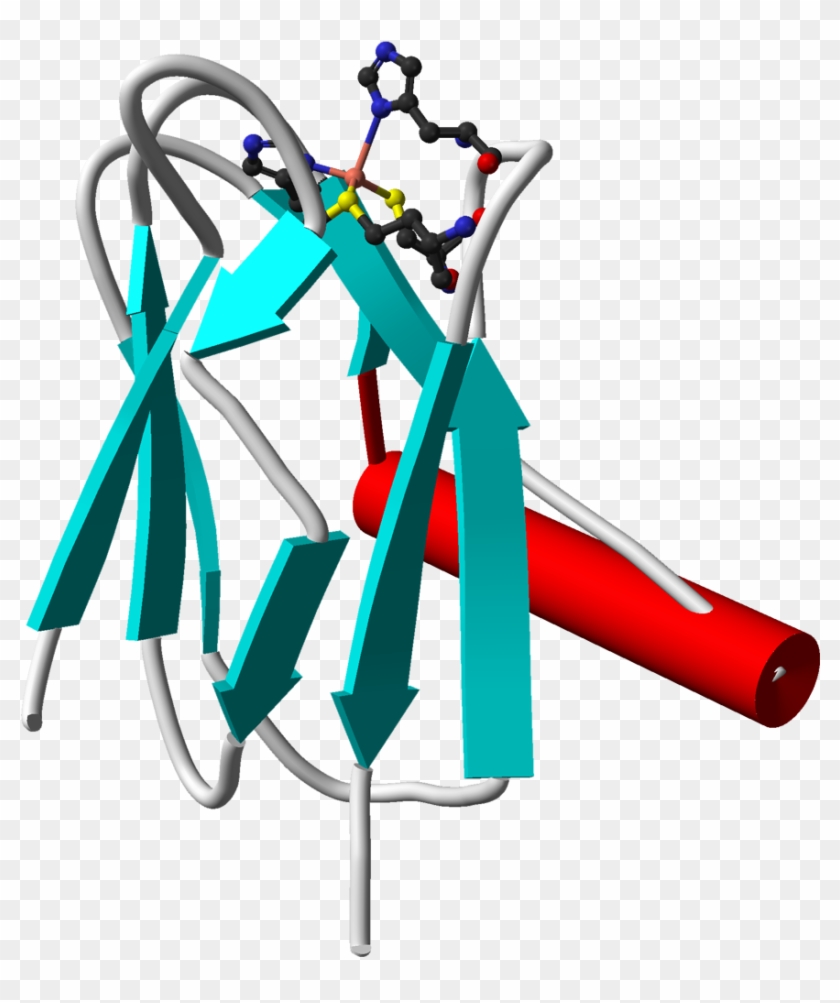 Plastocyanin From 3bqv 3d Cartoon Balls - Plastocyanin #451642