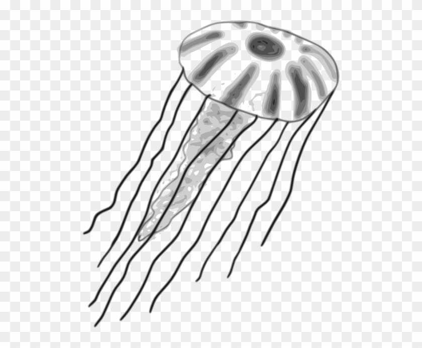 Jellyfish - Jellyfish Clipart In Black And White Png #451745