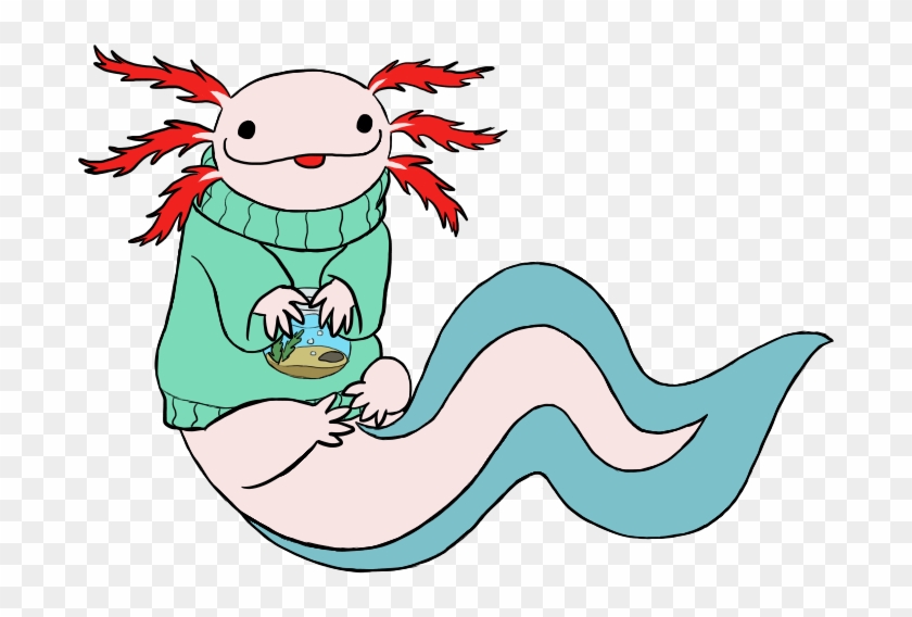 Axolotl Wearing A Fishbowl Sweater By Metalatias5 On - Dipper Pines #452039