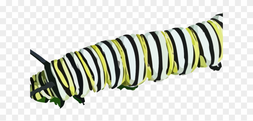 Caterpillar Png Transparent Images - Caterpillar Png #452273