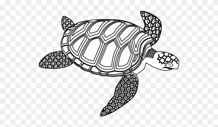 Sea Turtle Clipart Black And - Turtle Black And White #452419