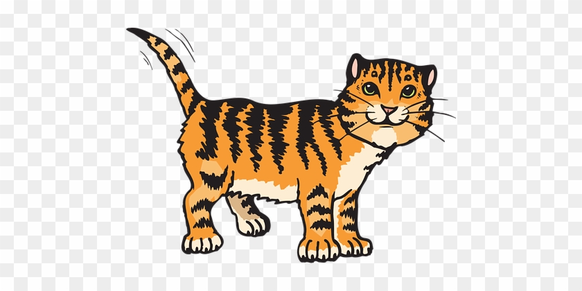 Cat Stripes Tiger Animal Tail Whiskers Str - Cat Clipart #452519