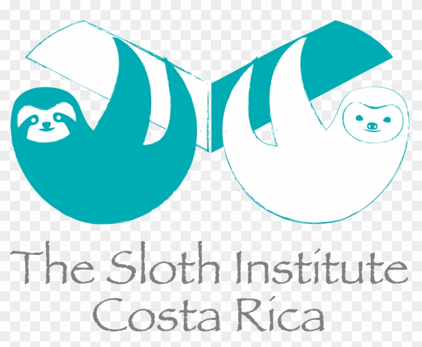 Sloth Institute Costa Rica - Full Size PNG Clipart Images Download
