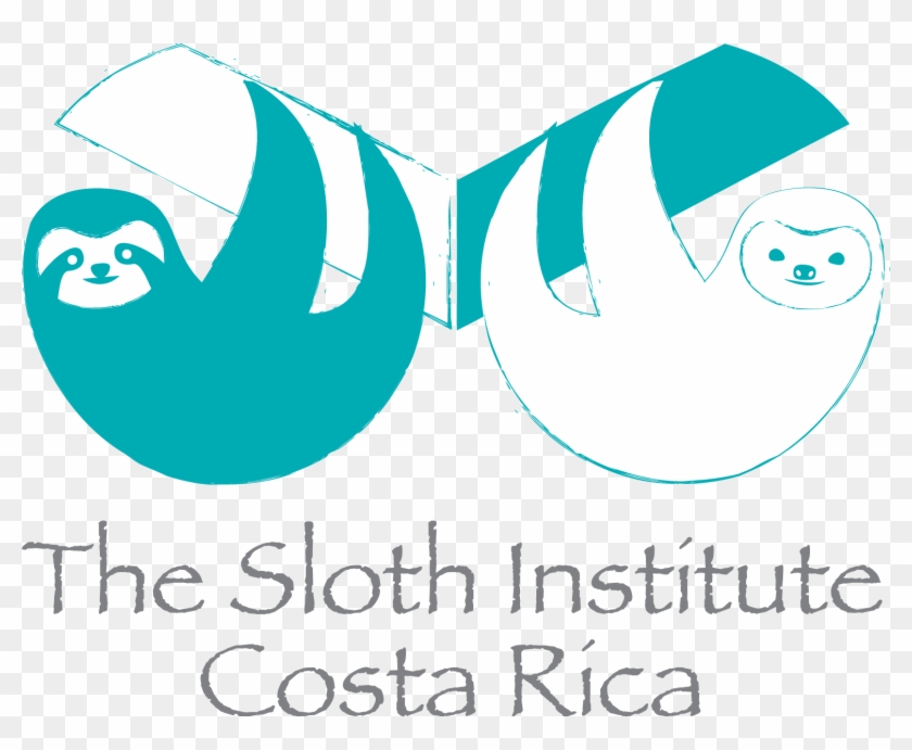 Sloth Institute Costa Rica #452730