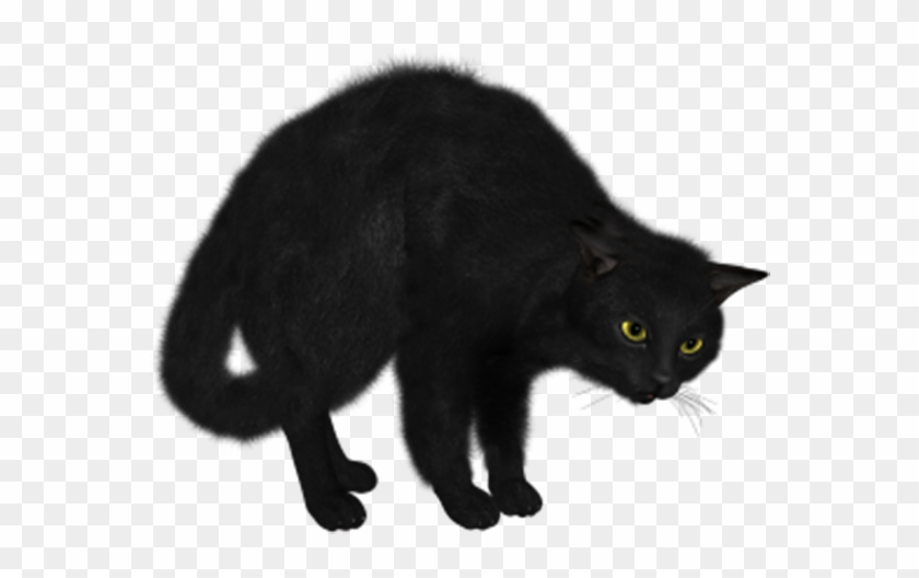 Norwegian Forest Cat Kitten Black Cat Clip Art - Norwegian Forest Cat Kitten Black Cat Clip Art #453424