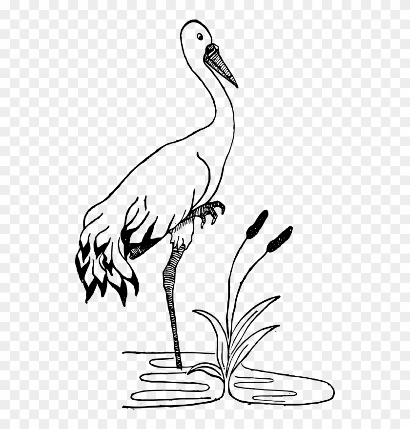 Free Clipart Crane In A Pond J4p4n - Pond Animals Clipart Black And White #453434