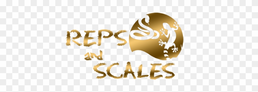Reps And Scales - Graphic Design #453829
