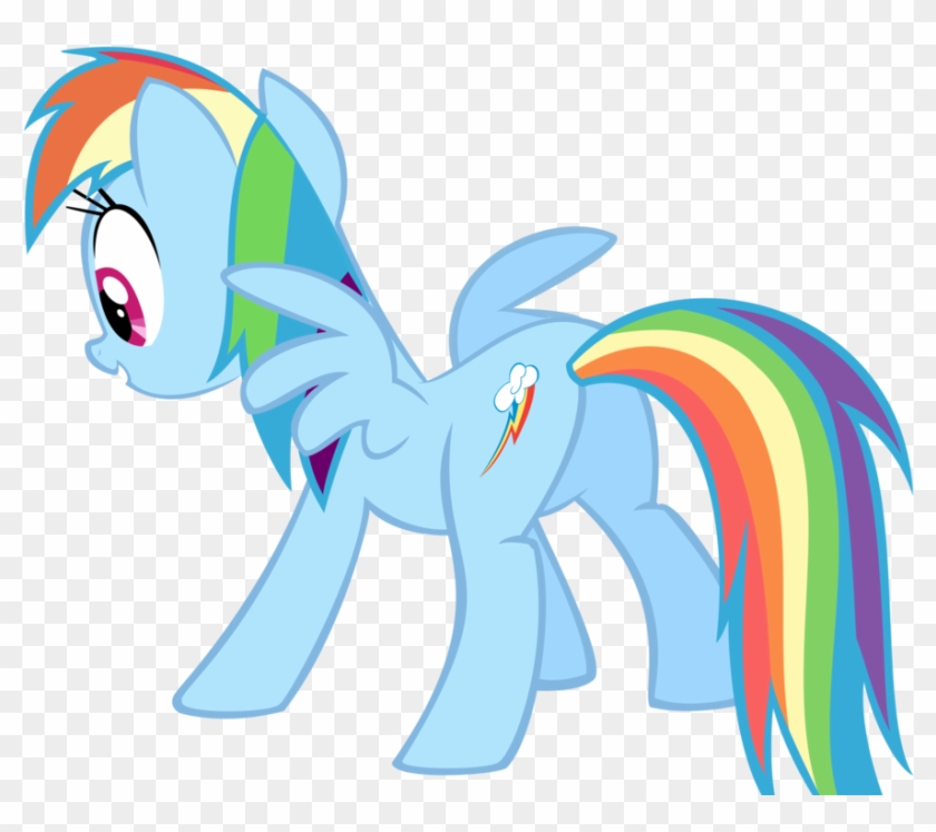 My Little Pony Rainbow Dash Back #454345