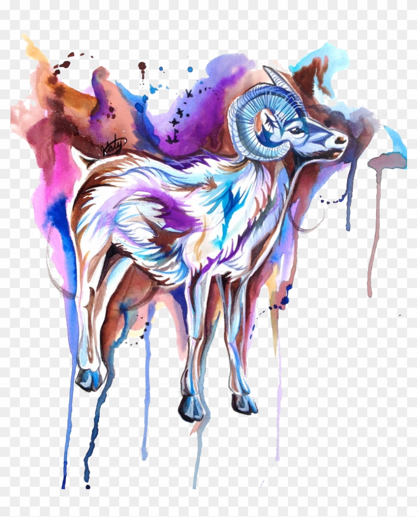 Tattoo Watercolor Painting Sheep Sketch - Tattoo Watercolor Painting Sheep Sketch #454535