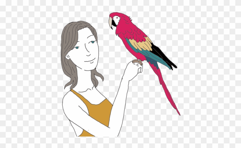 Parrot Dream Meaning - Meaning Of Parrot In Hindi #454728