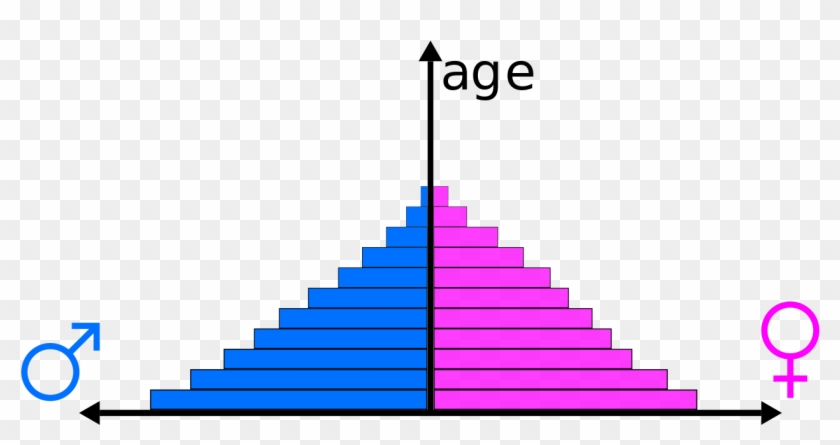 Population Pyramid This Distribution Is D For The Frequently - Age Structure #454896
