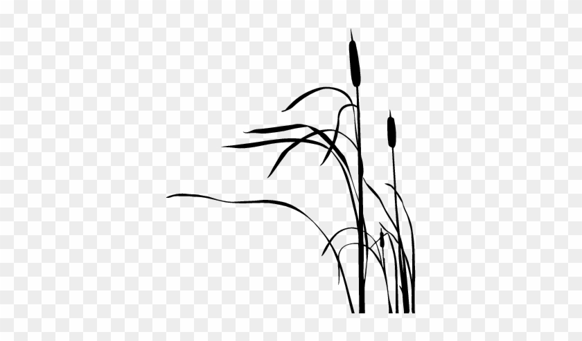 Cattail Silhouette - Cattails Clipart Silhouette #455023