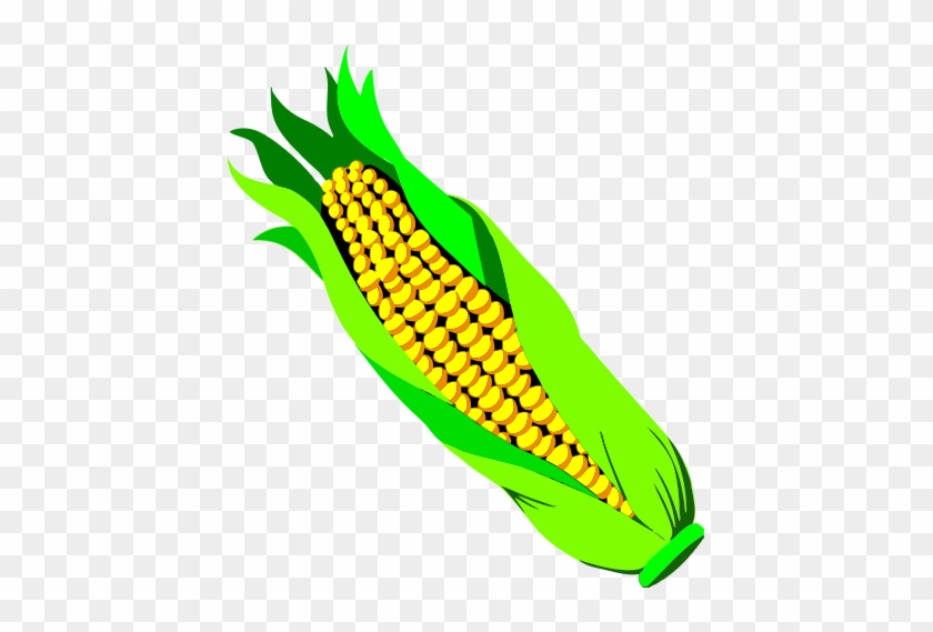 Ear Of Corn - Vegetable Clip Art #455980