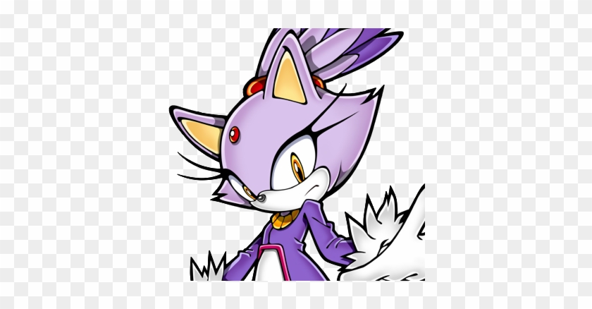 Video Games Out Of All Of My Top 10 Favorite Female - Blaze The Cat Head #456190