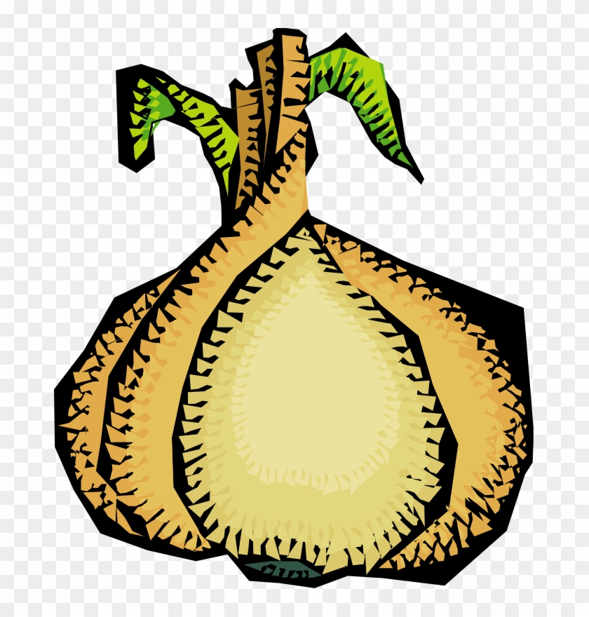 Clipart Vegetables 52 Free Vector - Onion Clip Art #456958
