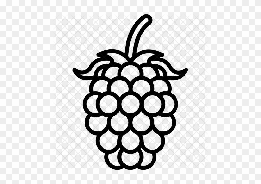 Raspberry Clipart Svg - Black Berry Fruit Sketch #457781