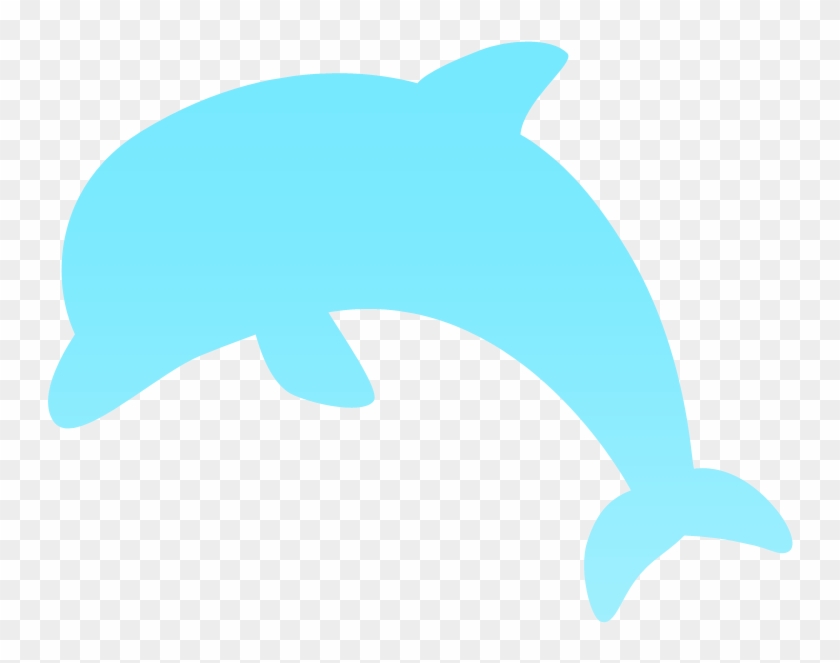 Common Bottlenose Dolphin #457833