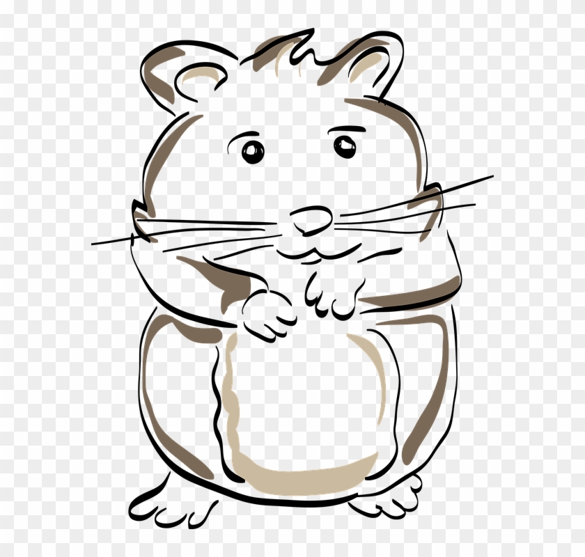 Hamster Clipart Mammal - Hamster #458122