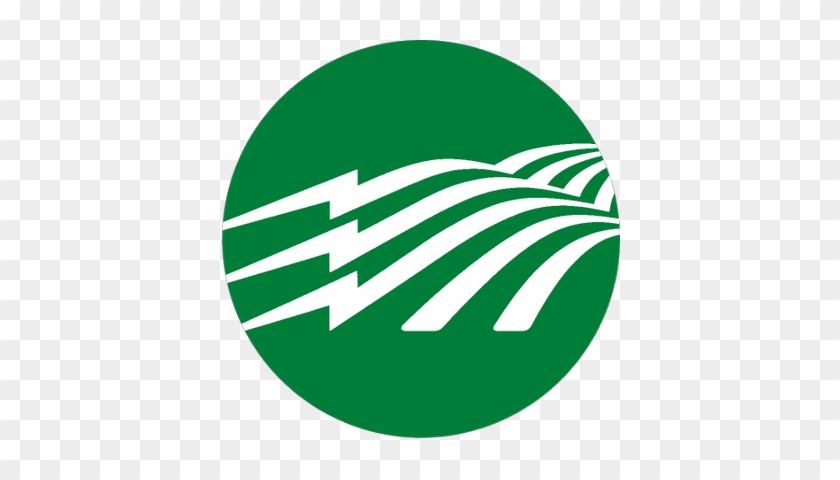 Roanoke Electric - National Rural Electric Cooperative Association #458260