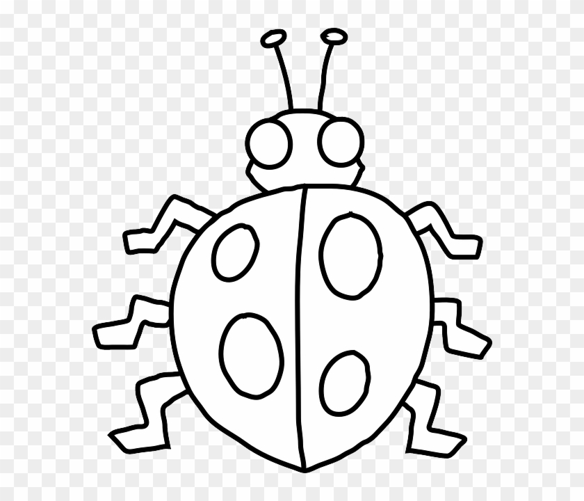 Beetle Ladybird Drawing PNG, Clipart, Beetle, Blog, Cartoon, Cute Ladybug  Clipart, Cuteness Free PNG Download