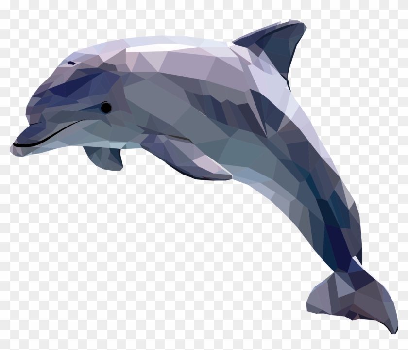 Polygonal, Geometric Animal, Dolphin By Camilla Dahl - Dolphin Illustration #458965