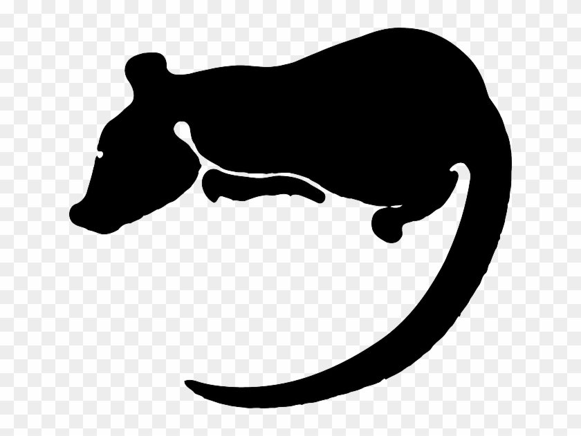 Free Pictures Rat - Rat Clip Art #459026