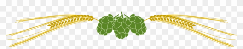 Hops And Barley - Barley And Hops Vector #459251