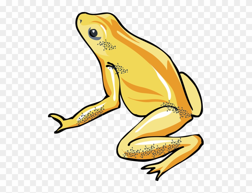 Tree - Frog - Clip - Art - Yellow Frog Clipart #459599