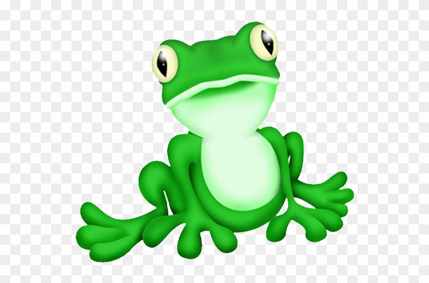 Animal Frog - Frog Web #459608