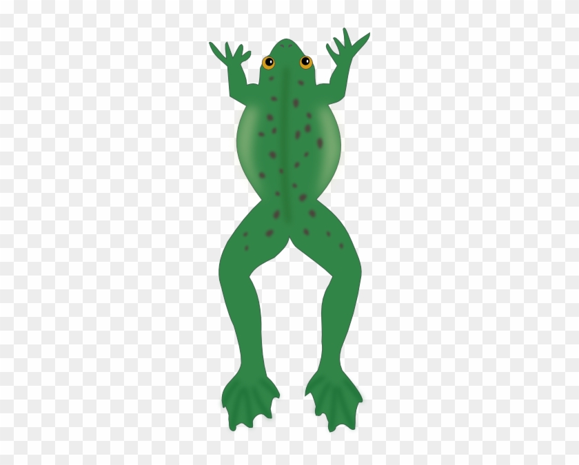 Frog Jumping Top View #459625