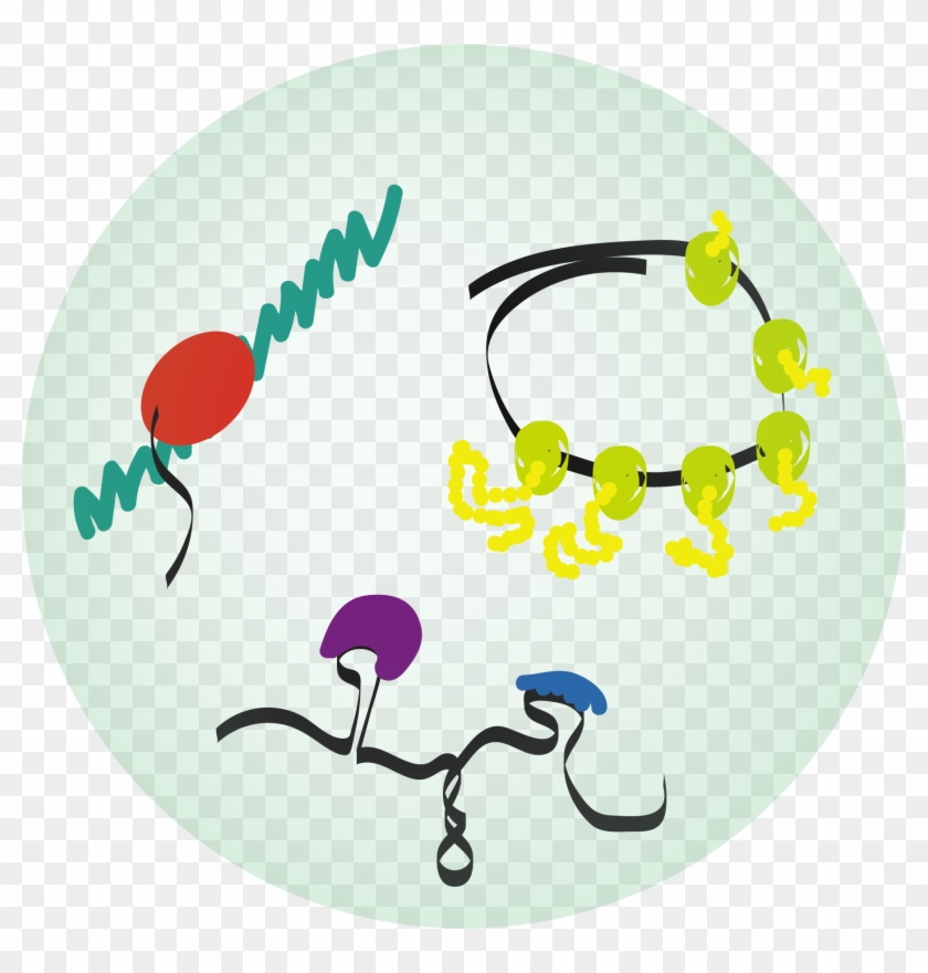 The Jagannathan Laboratory Will Be A Part Of The Rna - Illustration #459807