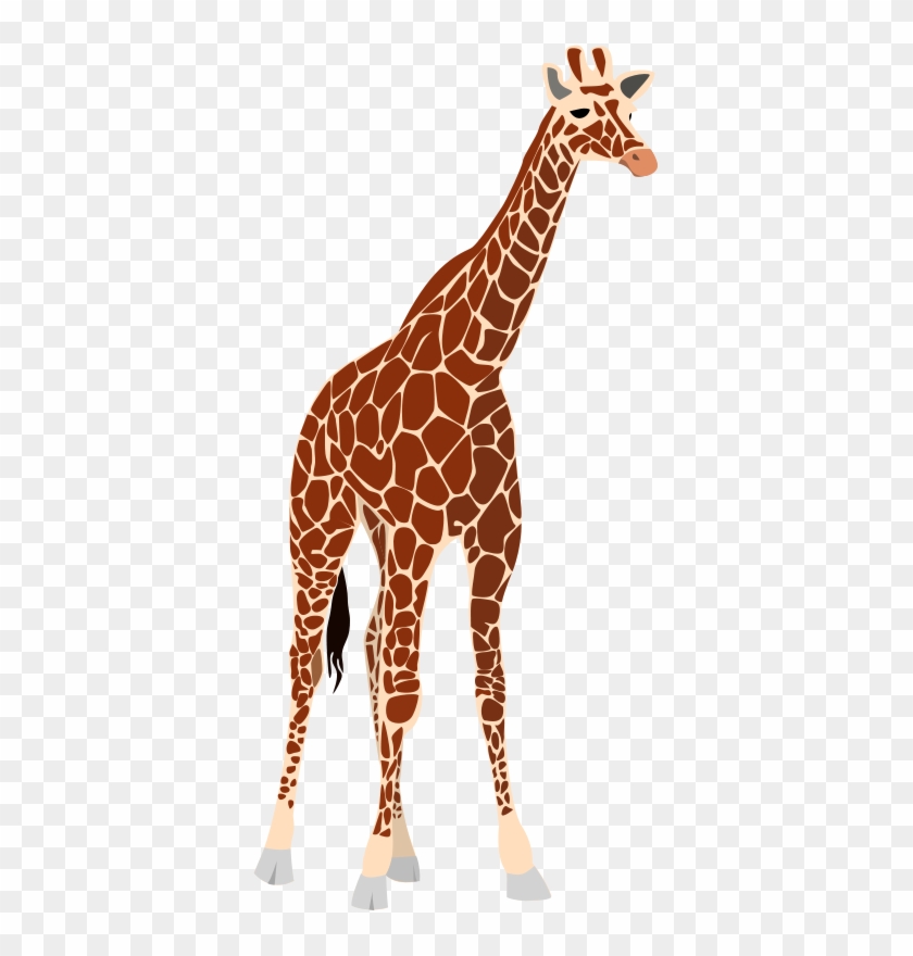 Giraffe Clipart Clipart Free Clipart Images The Cliparts - Giraffe Free Vector #459975