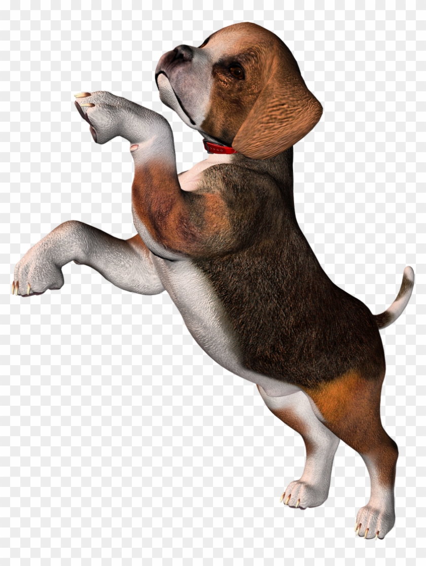 Perro Clipart Beagle - Beagle Puppy Clipart Transparent #460006