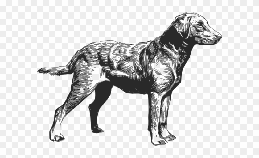 Chesapeake Bay Retriever Clip Art - Chesapeake Bay Retriever Silhouette #460011