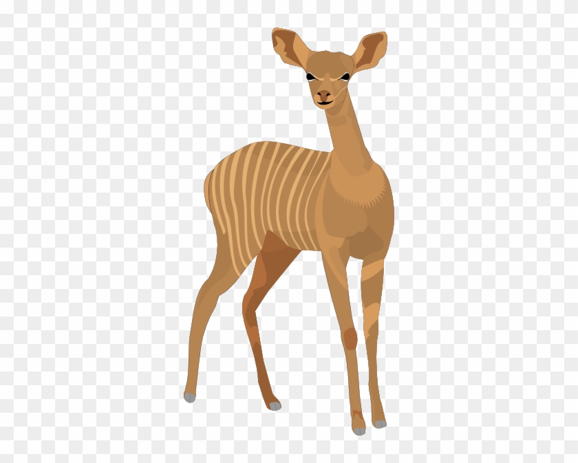 Cute Deer Clipart Free Clipart Images Image - Long Neck Animal #460025