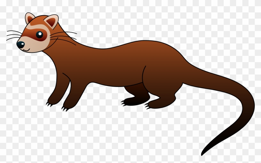 Ferret Clip Art - Ferret Clipart #460040