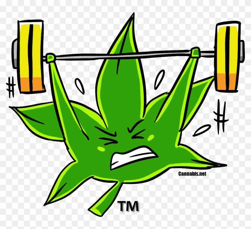 Pin Gym Workout Clipart - Fitness Weed #460080