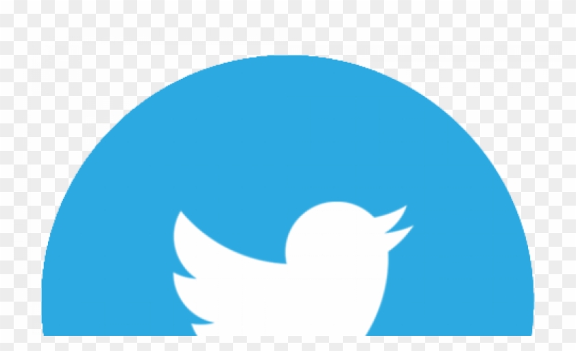 Twitter Circle Logo Transparent #460499