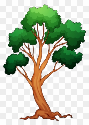 Download Yandeks Fotki So Many Trees To Color Coloring Book Free Transparent Png Clipart Images Download