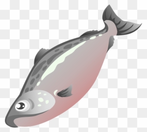 Medium Image - Salmon Fish Clipart