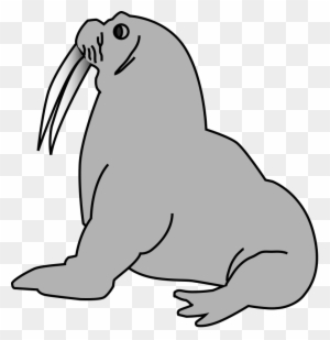 Australian Animals Clipart Free Download Clip Art - Seal Clip Art