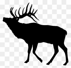 Elk, Silhouette, Cut Out, Stag - Elk Silhouette Clip Art