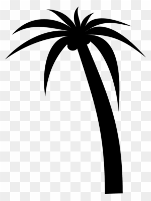 Tree Palm Silhouette Tropical Black Coconut Plant - Palm Tree Clip Art